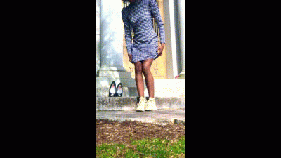 Won't You Be My Neighbor Pussy At Mister Rogers Grave