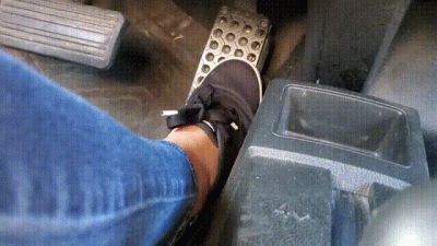 The Black Keds Trx Champion