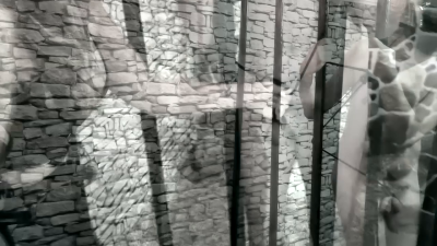 Ball Whipping In The Medieval Prison