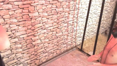 Flogging His Hands: Interogation In Medieval Prison