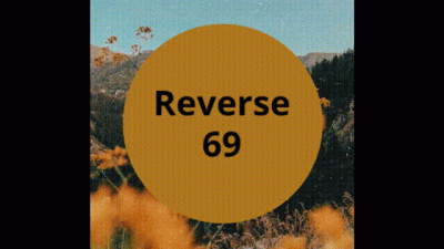 Reverse 69