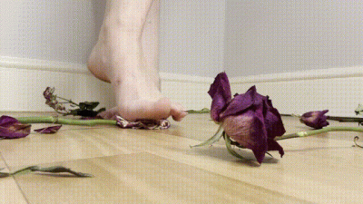Crushing & Stomping Flowers