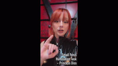 Small Penis Humiliation Task Princess Diss