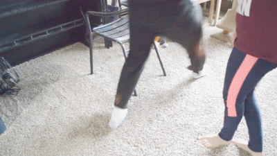 Jumping And Trampling By Dylan Rose