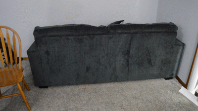 Amber Is Back And Ready V Trample My Balls