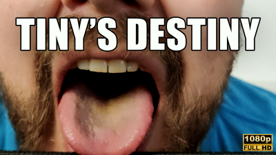 Kingmarti: Tiny's Destiny - Fhd