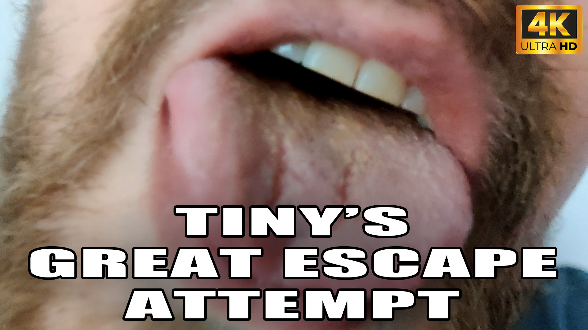Kingmarti: Tinys Great Escape Attempt- 4k Uhd 2160p