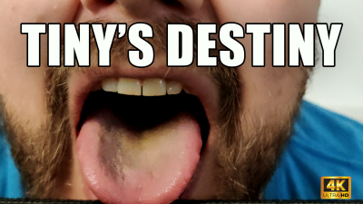 Kingmarti: Tiny's Destiny- 4k Uhd
