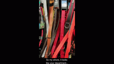 My Shopping Cart Paid For By My Cashslave