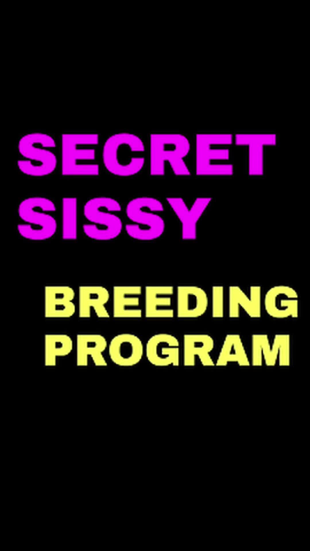 Secret Sissy Breeding Program