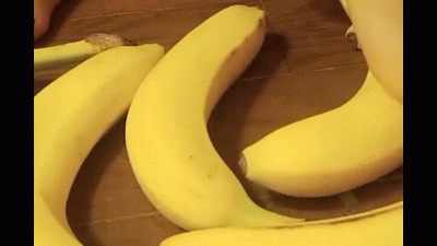 Barefoot Stomping Bandanas