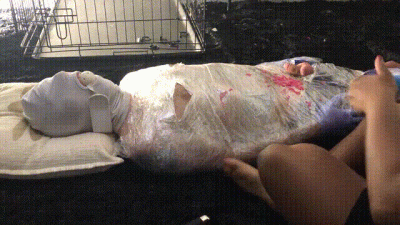 You Are My Toy Short V