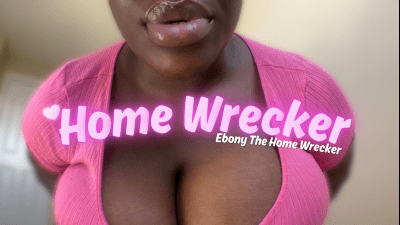 The Homewrecker