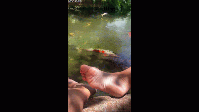 Feet And Fish
