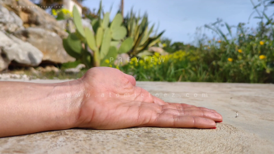 Giantess' Hand And Timies