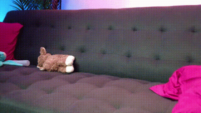Tied Up Sissy Boy Wanna Play Orgasm Control 4K Full