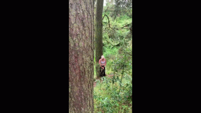 Woodland Surprise!