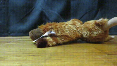Stepping On Stuffed Toy