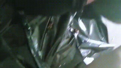 Mxdominion Feeds Her Slave Shoe Chocolate