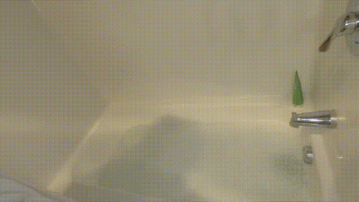Bath Toy