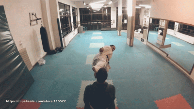 Victoria Karate Face Kicks