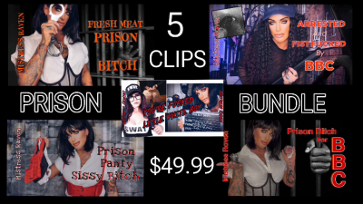 Prison Bundle 5 Clips