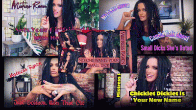 SPH Bundle Of 5 Clips