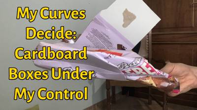 My Curves Decide: Cardboard Boxes Under My Control