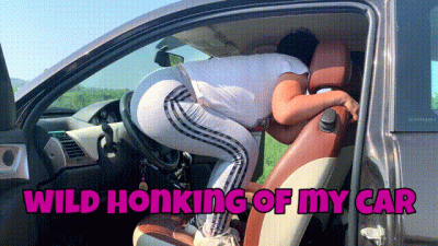 Wild Honking Of My Car