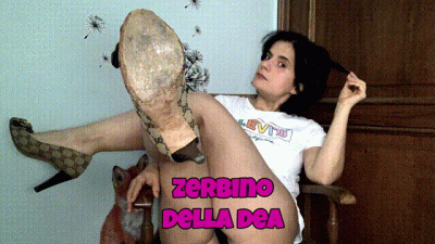 Zerbino Della Tua Dea