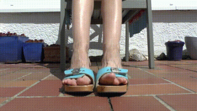 Wooden Mules Feet In The Sun