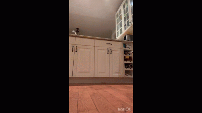 Ollie Patiently Waits To Fuck MILF