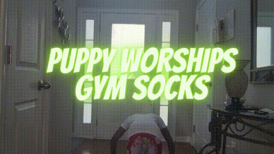 Puppy Worships Gym Socks