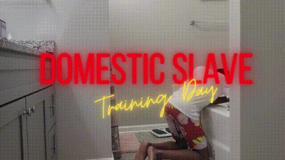 Domestic Slave Training Day