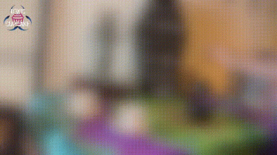 Lovespell Gone Wrong: Full Version