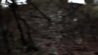 It's Hunting Season (Feat Mistrix Violeta Felix)