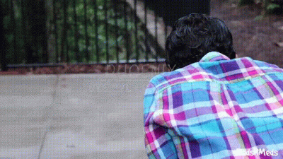 Phoenix Bye Bye Little Man