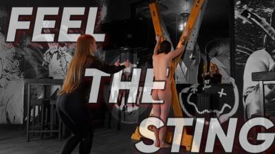 Feel The Sting (480P)