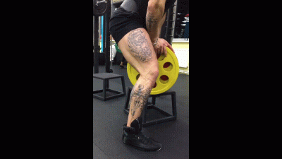 Workout Part 1 (Leg Day)