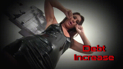 Debt Increase