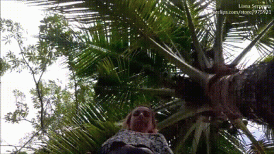 Giantess Liana Stomps Over The Group Of Tiny People