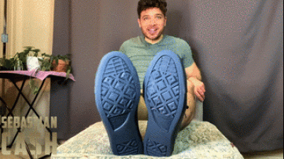 The Sneakerjob