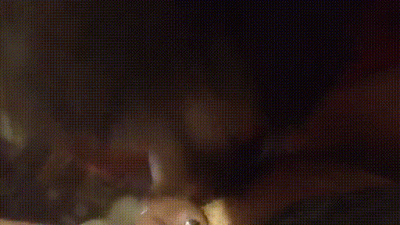 My Sucking Dick