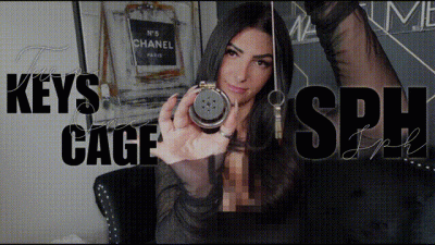 Two Keys, One Cage SPH (Pixelated)