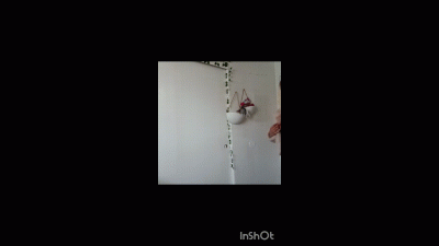 Ebony Glow: Celebrating My Luxurious Stretch Marks