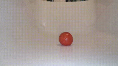 Squeezing Tomatoes Like They Were Balls