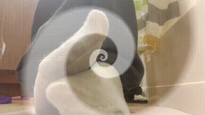 *Wallet Training Mesmerized Vol 1.*