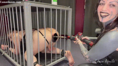 Anal Pounding In Cage