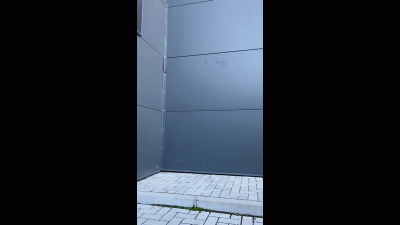 Sexy Natural Redhead Ginger Is Walking His Dog And He Is Suck Her Strap-On