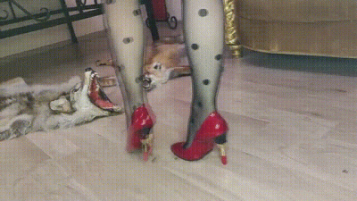 Fur Goddess Eats Raw Meat And Raw Eggs